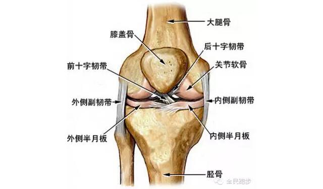 讲堂 | 网罗各种膝盖痛 针对性恢复才有效_体育_腾讯网