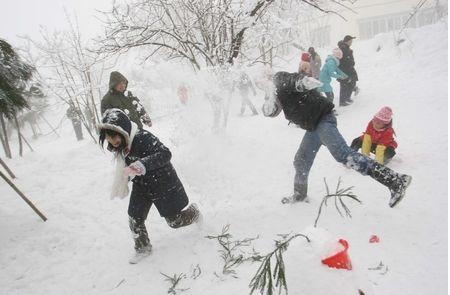 打雪仗图片