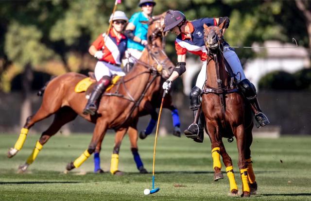 2018环亚女子马球公开赛 暨 1003 rose polo cup圆满落幕