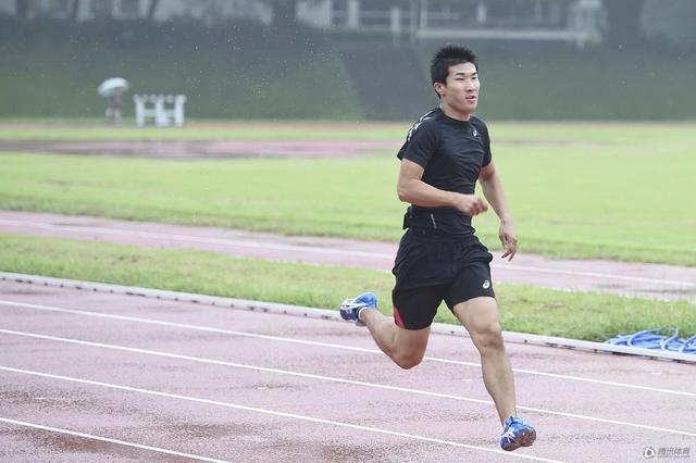 娱乐 体育"从日本田联到基层教练,大家都在努力下功夫,让日本短跑