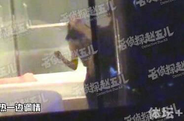 林丹谢杏芳_谢杏芳 收入(3)