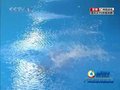 视频：跳水女子3米板决赛第四轮全程