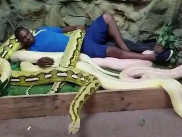 易建联前队友躺蟒蛇堆 小伙伴们敢那样做吗？