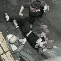 瑞典跑酷高手图片