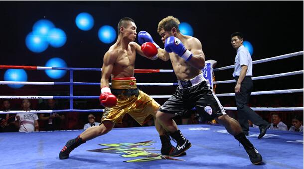约战九月 2016中国职业拳击联赛大幕将开