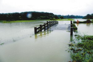 晶报：洪水考验海南高尔夫 政府规划力待检测