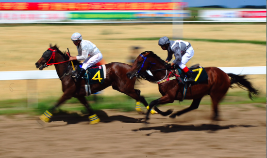 中国速度赛马大奖赛内蒙古启幕 32支队伍参赛_体育_腾讯网