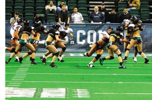 nfl停摆lfl填空白 内衣美女未必人人都看(图)