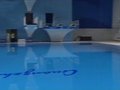 视频：揭秘奥体游泳跳水馆 完美设计令人折服