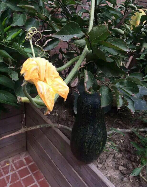 男排 汤淼 为爱与妻分手 三年康复获得人生大爱