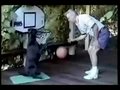 视频：狗狗打篮球乐此不疲 能运球还能灌篮