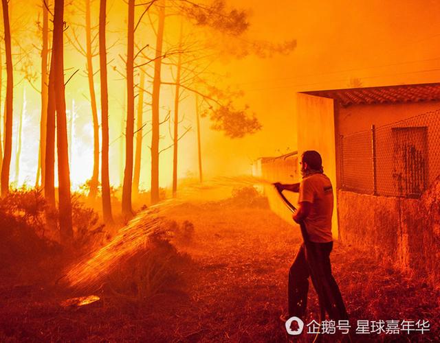 ů��C��Ϊ����370����֧��ҽ�Ʒ� ��Ը͸¶����