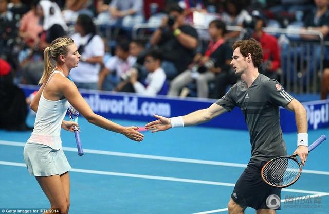 2025全球网球联赛赛程_ATP/WTA积分排名+比赛直播全覆盖2021年保定易县 网球联谊赛 圆满结束