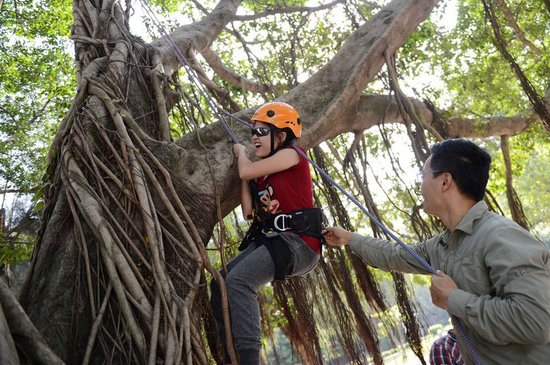 厦大开爬树课女生近半 期末考要能爬10米大树