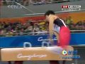 视频集锦：体操男子全能决赛 众选手发挥失误