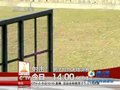 视频：24日精彩赛事一触即发 期待刘翔三连冠