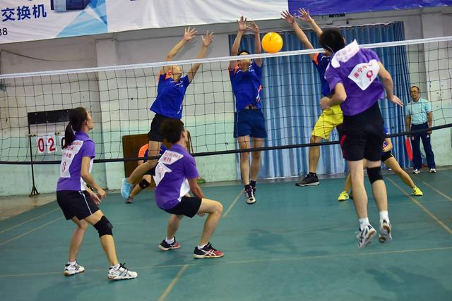 30年气排球老树开新花 运动人口超2000万