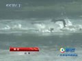 视频：男子铁人三项发令枪响 亚洲铁人入水