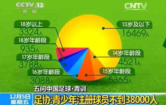 央视问青训:足校不足20家 12省市无注册球员