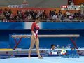 视频：体操单项决赛 田中理惠表现好难度低