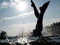 高清：周嘉威男子100米蝶泳摘金 泳池中狮吼