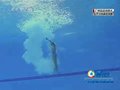 视频：女子跳水中川真依挑战转体动作