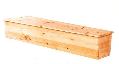 詹皇死亡封盖获赞 美媒:将斯普利特装进棺材