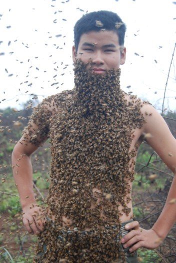 数十万狂蜂围困两人史上最牛人蜂大战_体育_腾讯网
