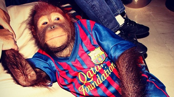 西甲联赛_国际足球