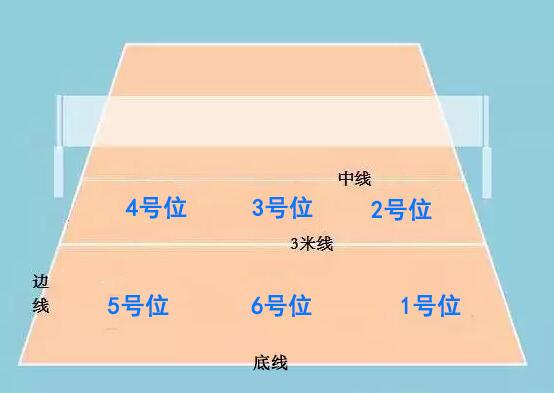 铁榔头当年在场上打哪个位置?郎平丈夫竟答错