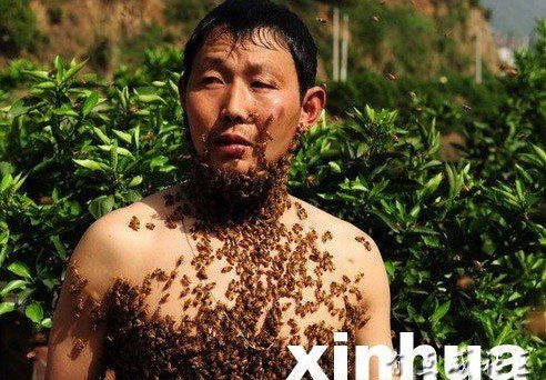 数十万狂蜂围困两人史上最牛人蜂大战_体育_腾讯网
