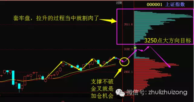 柯宇川:低不买高不卖 散户就是这样亏钱的