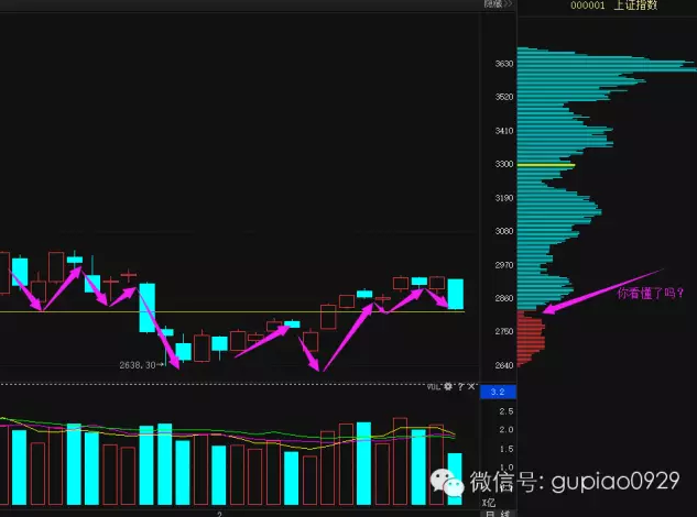 坑中的阴谋论 你看懂了多少