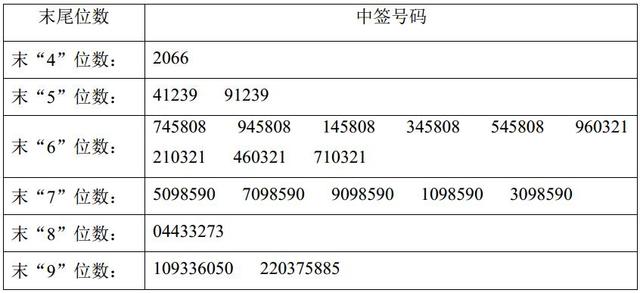 星云股份网上申购中签结果出炉 中签号码共有