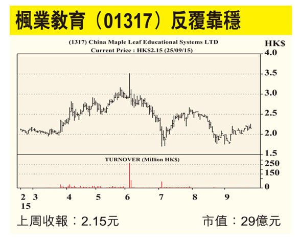 行业首选枫叶教育 网龙期待收成