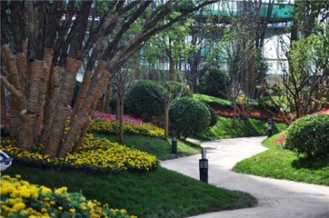 租赁能否成为下个风口 现仅占房屋交易6%_频