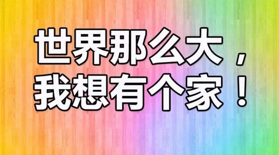 世界那么大我想有个家 3800元起入住新区学区