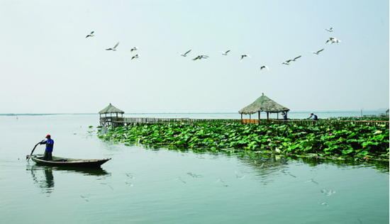 数字背后的宜居相城