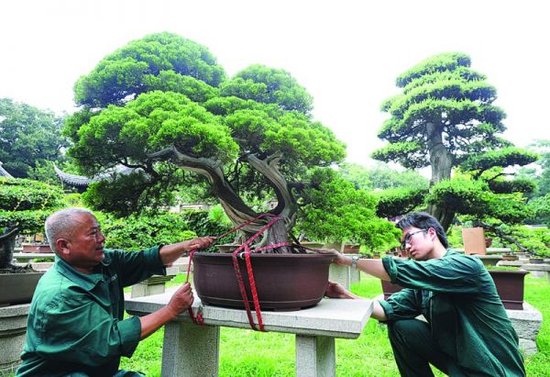 海葵来势汹汹 大家不要轻敌