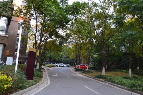 自由都市 开启一天自由悠闲生活