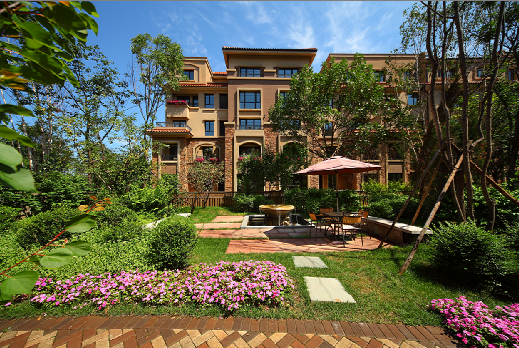 碧桂园上演双城记引热议 教育、公园地产同日