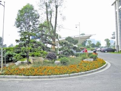 绿意盎然润马洲 点击城市绿化新亮点_频道-泰