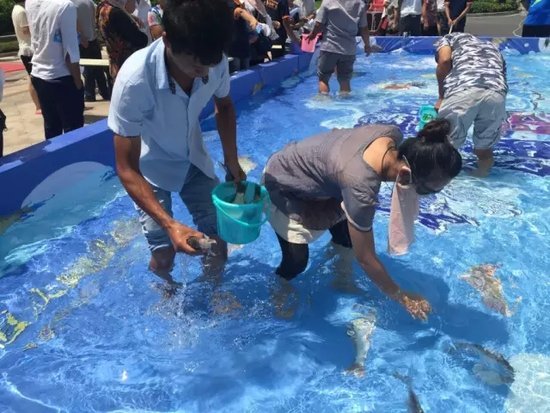 鹏欣·瑞都中秋大福利,月饼DIY、鱼乐无穷! 