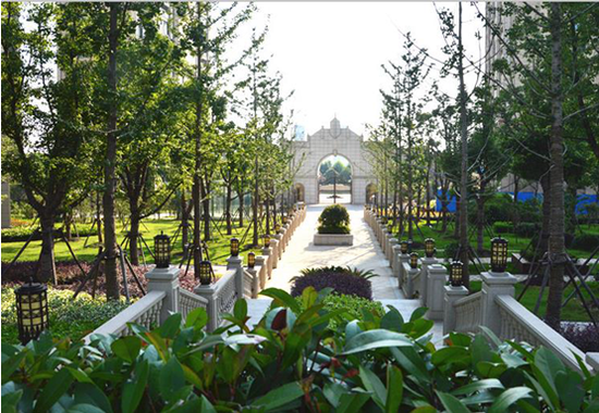 最好的时机--拥有阳光·国宾1号_频道-泰州