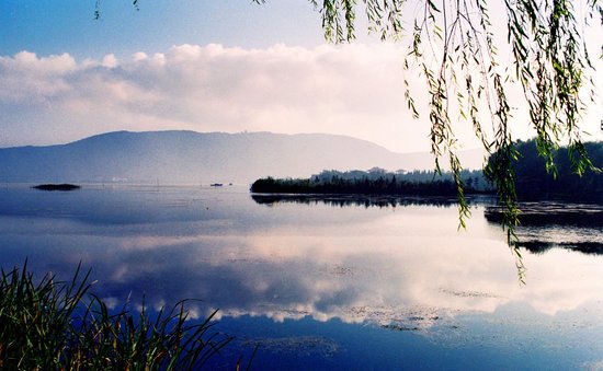 清凉一夏 临水好盘_频道-泰州