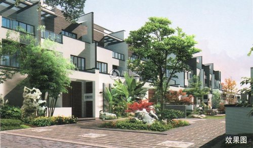 土豪金5元硬币引疯抢 秒变高富帅靖江买房最实