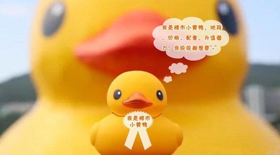 一只大黄鸭累趴下千表情楼市小黄鸭站起来_频好万只料图片包图片