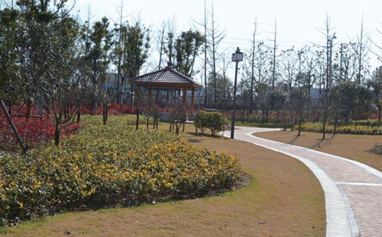 市区今明两年将再建20个街头游园_频道-泰州