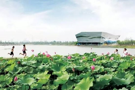 泰州人民医院新区医院大规模招聘 明年年底投