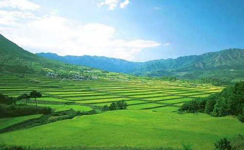 上层建筑让土地流转问题惊天动地_频道-泰州